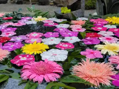 多聞寺の手水舎