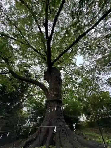 愛宕神社(福島県)