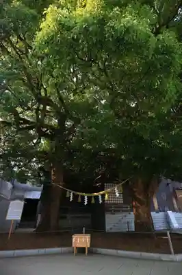 明治神宮のその他建物