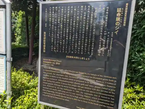 延命院(東京都)