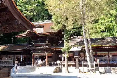 諏訪大社下社秋宮(長野県)