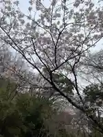 洞川八大龍王(兵庫県)