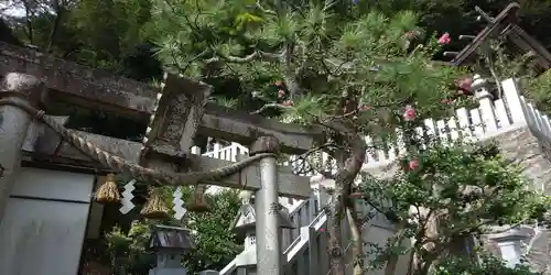 金刀比羅神社の鳥居