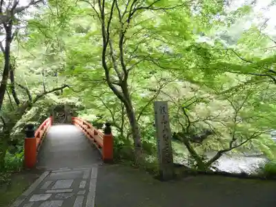 西明寺(京都府)