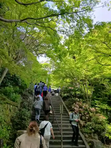 長谷寺(神奈川県)