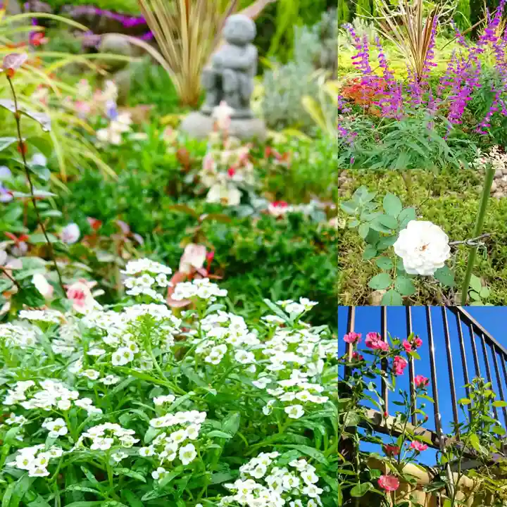 寿量山 速成寺の庭園