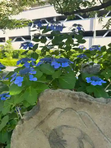 亀戸浅間神社(東京都)