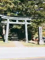 日光二荒山神社中宮祠の鳥居