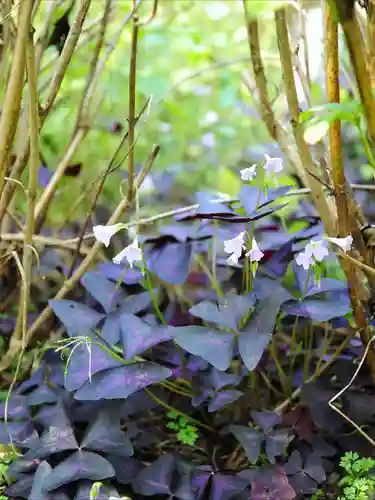 浄土寺(兵庫県)