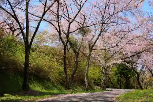 三春大神宮の景色