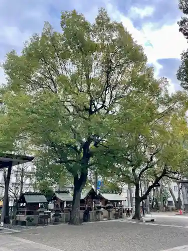 亀戸 香取神社の{uncategorized: "未分類", other: "その他", undefined: "問題あり", building: "その他建物", grave: "お墓", sacred_gate: "鳥居", guardian: "狛犬", statue: "像", buddha: "仏像", history: "歴史", nature: "自然", garden: "庭園", animal: "動物", pagoda: "塔", temizu: "手水舎", mountain_gate: "山門・神門", sanctuary: "本殿・本堂", subordinate: "末社・摂社", art: "芸術", scenery: "景色", jizo: "地蔵", ema: "絵馬", goshuin: "御朱印", omikuji: "おみくじ", items: "授与品その他", amulet: "お守り", goshuincho: "御朱印帳", eats: "食事", festival: "お祭り", votive_dance: "神楽", shichigosan: "七五三参", wedding: "結婚式", experience: "体験その他", initially: "初詣", around: "周辺", anti_infection: "感染症対策"}
