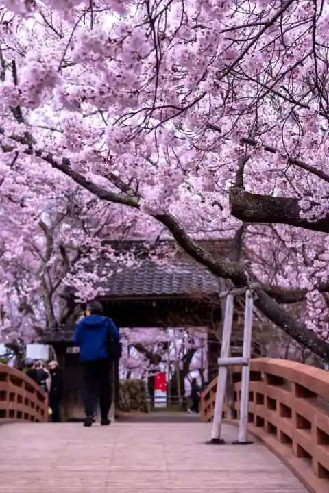 新城藤原神社(長野県)