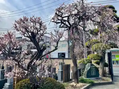法蔵寺の{uncategorized: "未分類", other: "その他", undefined: "問題あり", building: "その他建物", grave: "お墓", sacred_gate: "鳥居", guardian: "狛犬", statue: "像", buddha: "仏像", history: "歴史", nature: "自然", garden: "庭園", animal: "動物", pagoda: "塔", temizu: "手水舎", mountain_gate: "山門・神門", sanctuary: "本殿・本堂", subordinate: "末社・摂社", art: "芸術", scenery: "景色", jizo: "地蔵", ema: "絵馬", goshuin: "御朱印", omikuji: "おみくじ", items: "授与品その他", amulet: "お守り", goshuincho: "御朱印帳", eats: "食事", festival: "お祭り", votive_dance: "神楽", shichigosan: "七五三参", wedding: "結婚式", experience: "体験その他", initially: "初詣", around: "周辺", anti_infection: "感染症対策"}