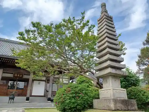 金蔵院(埼玉県)