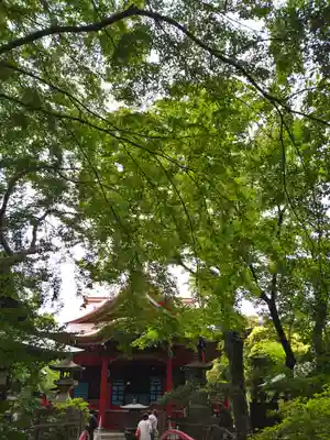 井の頭弁財天(大盛寺)(東京都)