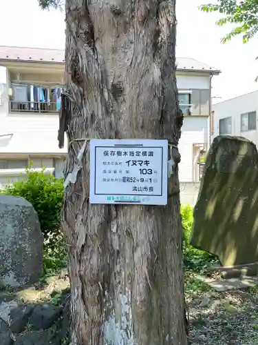 浅間神社(千葉県)