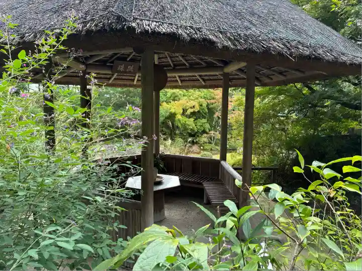 退蔵院(京都府)