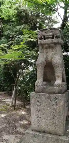 琴崎八幡宮の狛犬