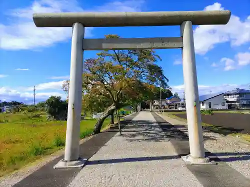 尾張神社（小針）の鳥居