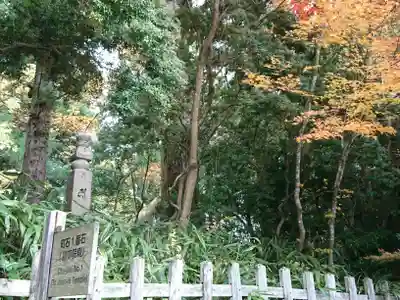 壇上伽藍(和歌山県)