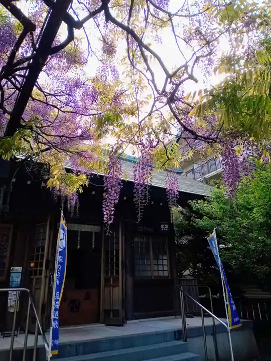 國領神社の本殿・本堂