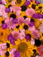 彌都加伎神社の手水舎