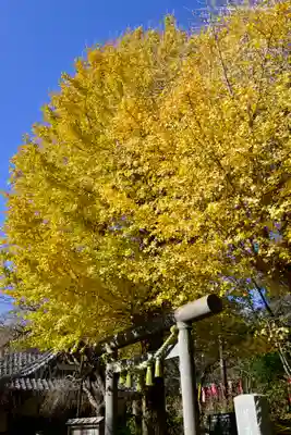 葛原岡神社(神奈川県)