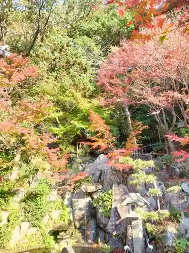 このみ白雲大社(岡山県)