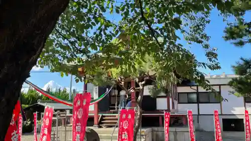 圓應寺(山形県)