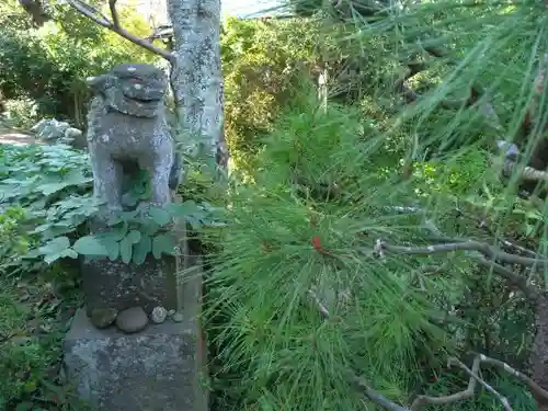 衣笠神社の狛犬