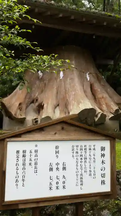 宇奈岐日女神社(大分県)