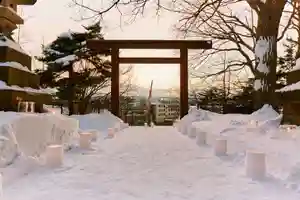 厚別神社(北海道)(2024年01月18日(木) 09時36分49秒投稿)