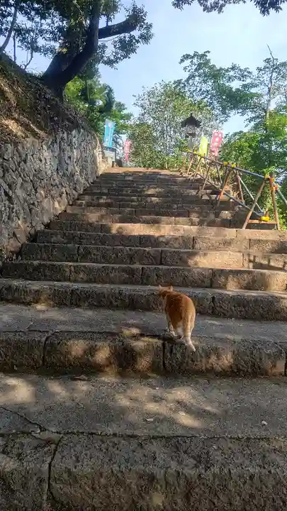唐澤山神社(栃木県)
