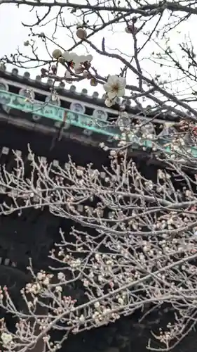 知恩院(京都府)