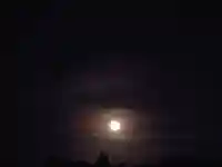 稲荷神社(茨城県)