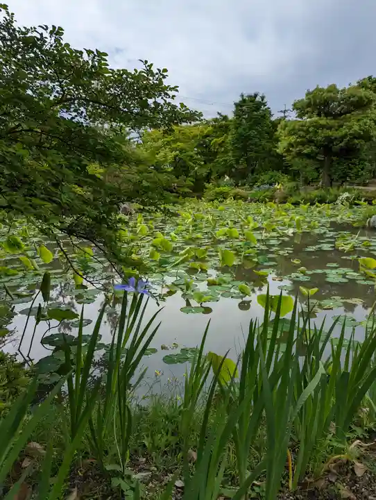 法金剛院(京都府)
