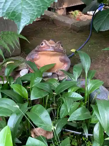 幸國寺(東京都)
