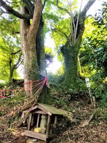 大聖寺(佐賀県)