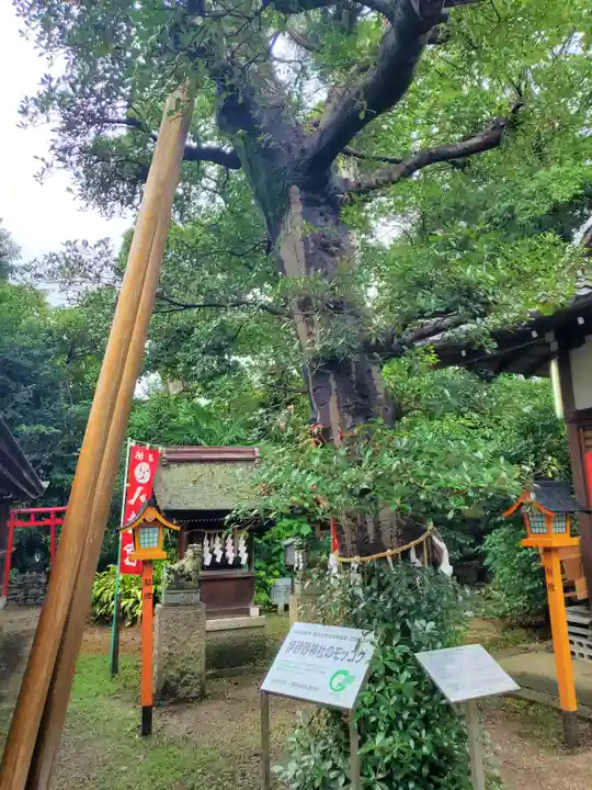 伊砂砂神社の自然