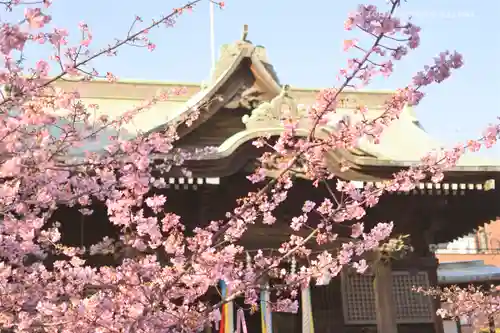 桜神宮のその他建物
