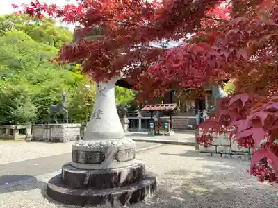 京都乃木神社(京都府)