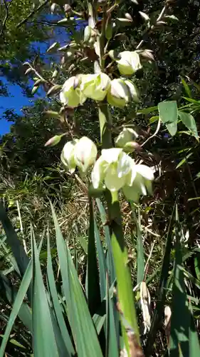 福浦島弁財天(宮城県)
