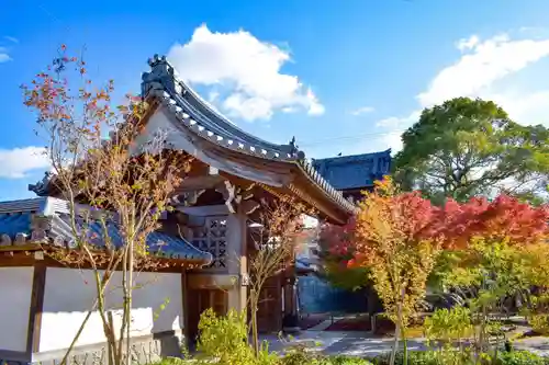 普元寺の山門