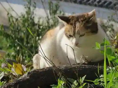 熊野若王子神社(京都府)
