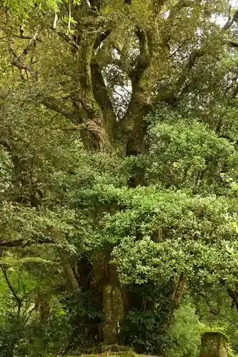 志多備神社(島根県)