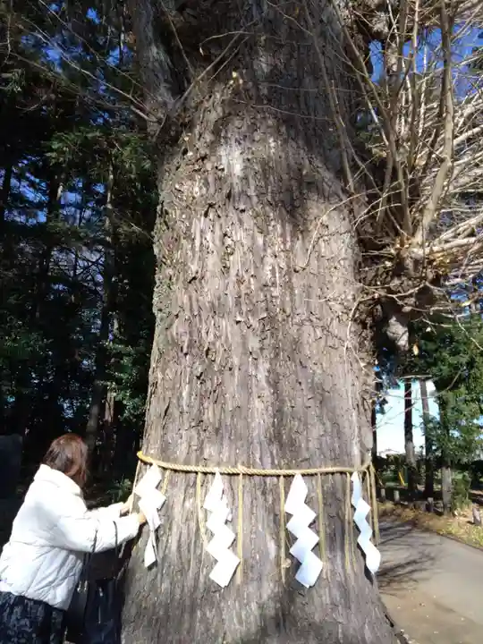 弓田香取神社(茨城県)