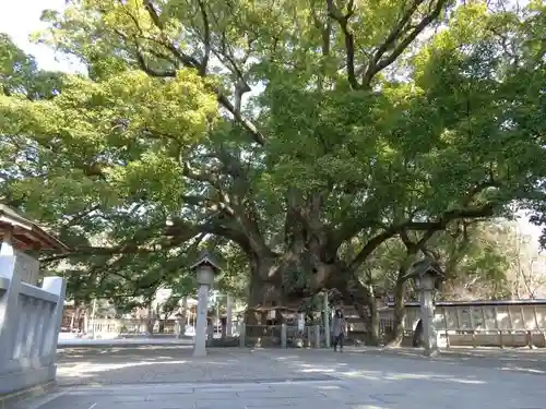 大麻比古神社の自然