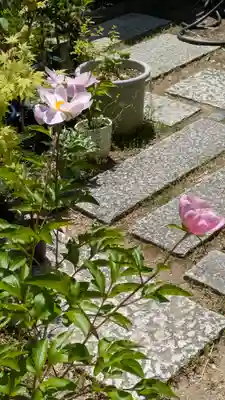 勝林寺(京都府)