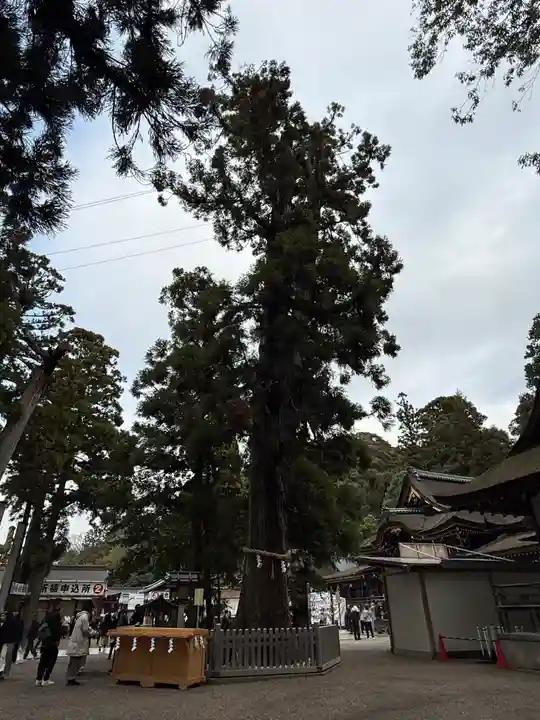 大神神社(奈良県)