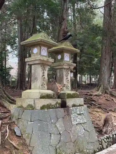 春日大社(奈良県)